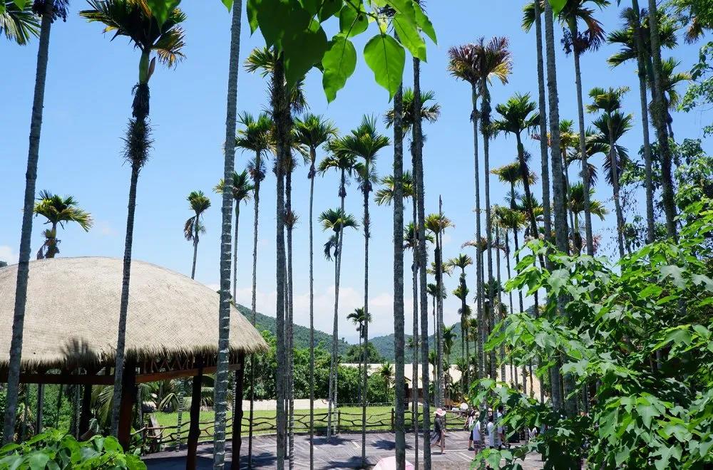 亚星国际控股集团